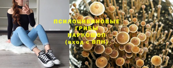 герыч Болхов