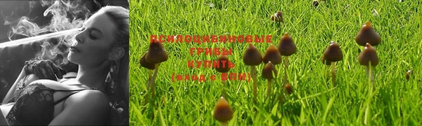 кристаллы Покров