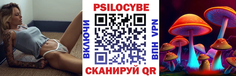 Псилоцибиновые грибы Psilocybe  купить наркотики сайты  дарк нет какой сайт  Александровское 